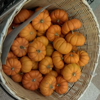 Stop & Shop - Mini pumpkins - Grocery Near Me - East Lyme, Connecticut Stop & Shop - Mini pumpkins - Grocery Near Me - East Lyme, Connecticut