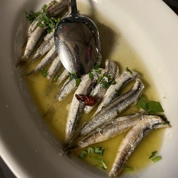 Piatto Romano - Anchovies - Roman Near Me - Rome, RM Piatto Romano - Anchovies - Roman Near Me - Rome, RM