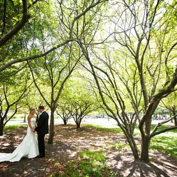 Vrai Photo - Gorgeous Olive Park - Photographers Near Me Vrai Photo - Gorgeous Olive Park - Photographers Near Me