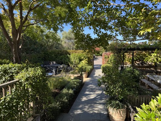 Williams-Sonoma by null