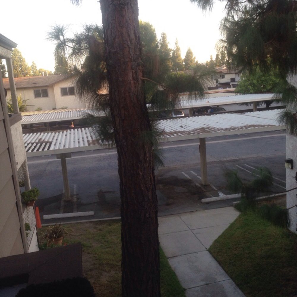 Summer Breeze Apartments 2019 All You Need to Know BEFORE You Go