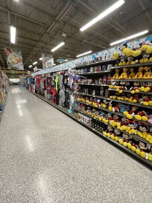 Publix Super Market at Williamsburg Downs Shopping Center by null