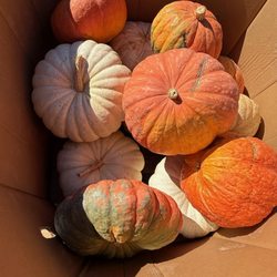 Hermans Produce
