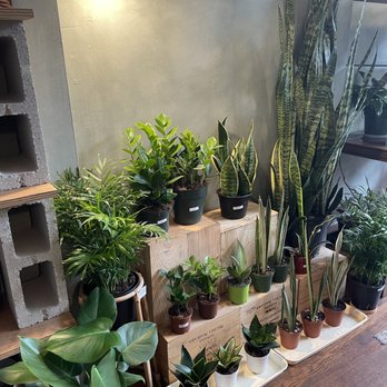 Memory Plants - Nurseries & Gardening Near Me - Oakland, California