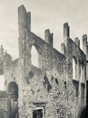 Castello Scaligero by null