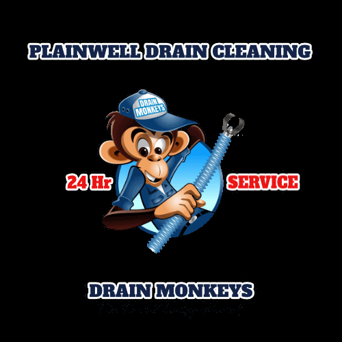 Slide of Drain Monkeys