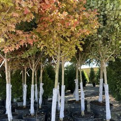 Sherwood Forest Nursery & Garden Center