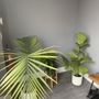Photo of Lumos Infrared Sauna