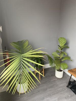 Lumos Infrared Sauna