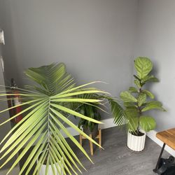Lumos Infrared Sauna