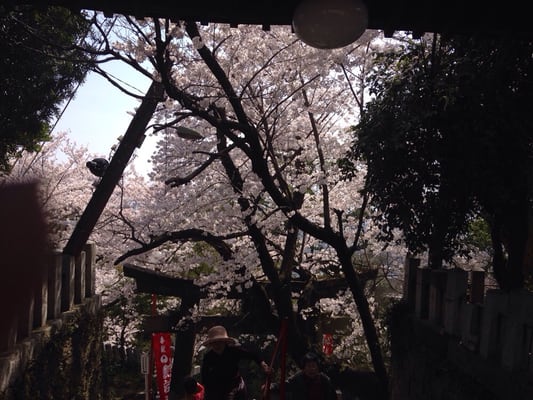 Atago Shrine by null