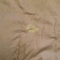 Washing-Well Laundromat - Stain
