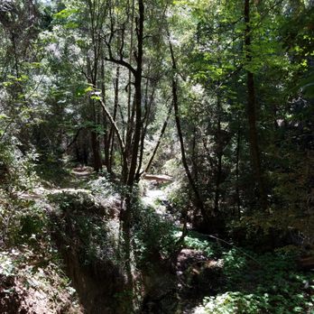 Monte Bello Open Space Preserve - Steven Creeks Trail - Hiking Near Me - Palo Alto, California Monte Bello Open Space Preserve - Steven Creeks Trail - Hiking Near Me - Palo Alto, California