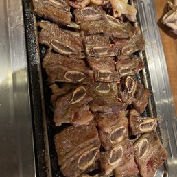 Rib
