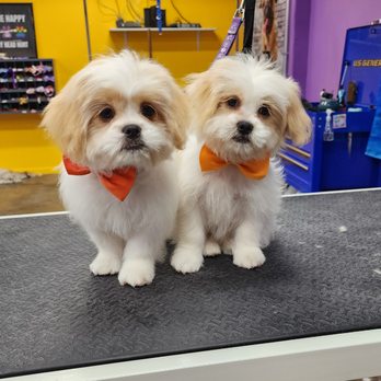 Unleashed - Pet Groomers Near Me - Marble Falls, Texas