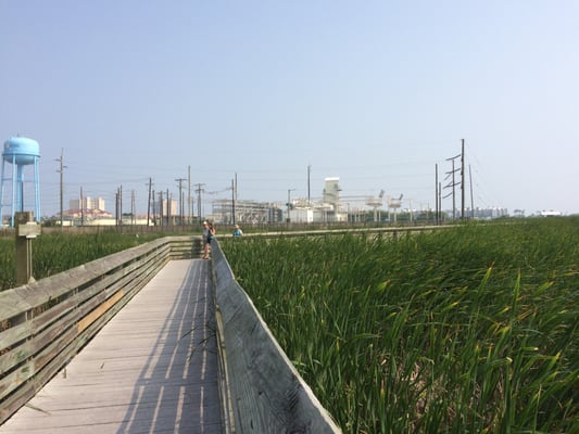 Laguna Madre Nature Trail by null