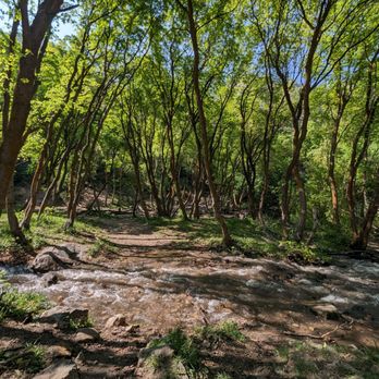 Neff's Canyon - Dog Parks Near Me - Salt Lake City, Utah
