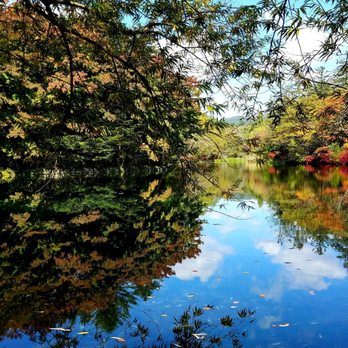 雲場池錦秋 軽井沢の秋、紅葉の雲場池です - YouTube
