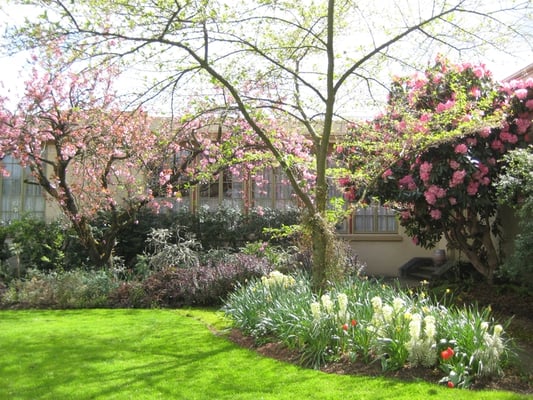 McMenamins Kennedy School by null