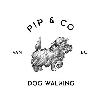 Pip and Co - Dog Walkers Near Me