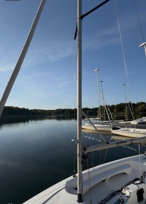 Jamaica Pond Park by null