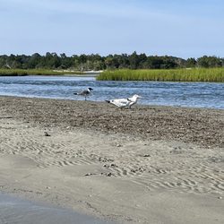 Pogies Fishing Center