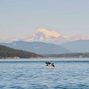 Outer Island Expeditions - Fishing Near Me - Eastsound, Washington