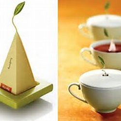 La Maison des 100 Thés - The pyramids of TeaForté - absolutely stunning and very tasty.