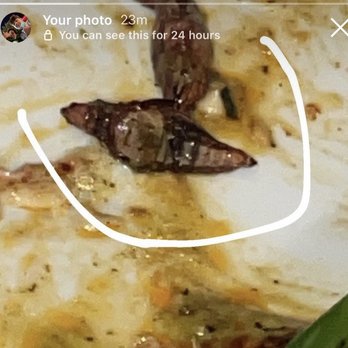 Tuna Blanca - One of the bugs! - Mexican Near Me - Punta de Mita, NAY