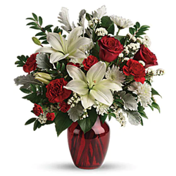 Winter Springs Beautiful Flowers