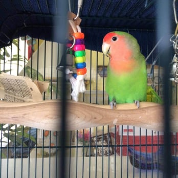 Happy Hearts Pet Care - Pet Sitting Near Me - Ann Arbor, Michigan Happy Hearts Pet Care - Pet Sitting Near Me - Ann Arbor, Michigan