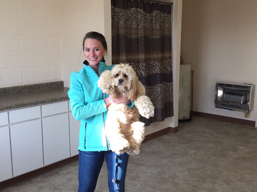 KLB KENNEL Updated September 2024 1355 R St, Penrose, Colorado