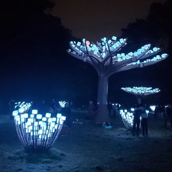 Entwined Lighted Forest - The whole forest is pretty much this ×4 (in different colors) - Public Art Near Me - San Francisco, California Entwined Lighted Forest - The whole forest is pretty much this ×4 (in different colors) - Public Art Near Me - San Francisco, California