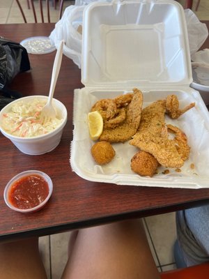 Catfish Station by null