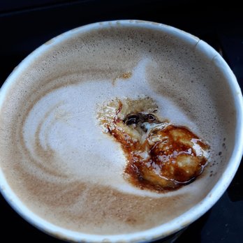 Yogi's Cafe - Mocha latte with a toasted salted caramel marshmallow! Delish!!!!! - Coffee & Tea Near Me - Naperville, Illinois Yogi's Cafe - Mocha latte with a toasted salted caramel marshmallow! Delish!!!!! - Coffee & Tea Near Me - Naperville, Illinois