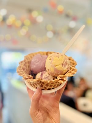 Jeni's Splendid Ice Creams by null