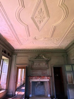 Drayton Hall by null