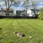 Broom & Groom Lawn Care Services