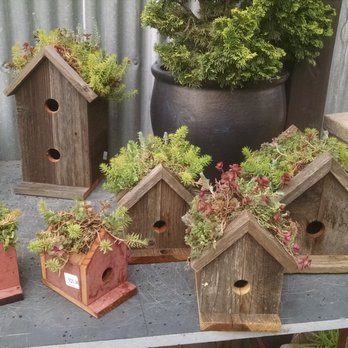 High Hand Nursery - Nurseries & Gardening Near Me - Loomis, California