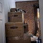 Konstantly Moving