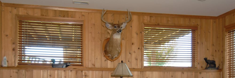 Ryan Flaten Taxidermy - taxidermy in Saint Joseph, MN