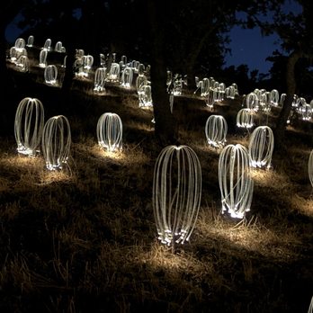 Sensorio - Fireflies by Bruce Munro - Art Galleries Near Me - Paso Robles, California