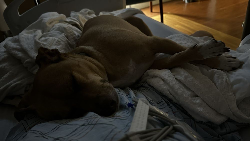 Virtua Marlton Hospital - patient advocate in Marlton, NJ