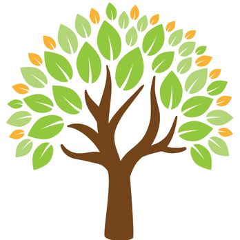 Through the Woods Therapy - Through the Woods Therapy Center: strength-based, social justice focused therapy offering telehealth throughout California! - Counseling & Mental Health Near Me