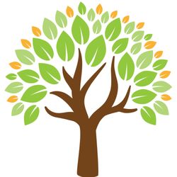 Through the Woods Therapy - Through the Woods Therapy Center: strength-based, social justice focused therapy offering telehealth throughout California!