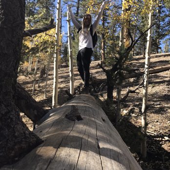 Bristlecone Trail - Hiking Near Me - Mount Charleston, Nevada