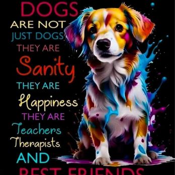 The Pawfect Sitter - Pet Sitting Near Me The Pawfect Sitter - Pet Sitting Near Me