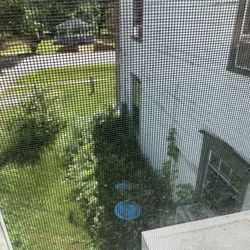 Brookside Inn At Laurens - View from bedroom window of the Inn and unkept landscaping.