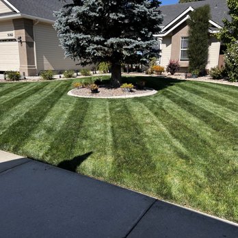 DK Lawn Detailing - a freshly mowed lawn - Lawn Services Near Me DK Lawn Detailing - a freshly mowed lawn - Lawn Services Near Me