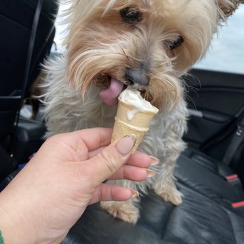 Andy's Frozen Custard - Ice Cream & Frozen Yogurt Near Me - Oak Lawn, Illinois Andy's Frozen Custard - Ice Cream & Frozen Yogurt Near Me - Oak Lawn, Illinois